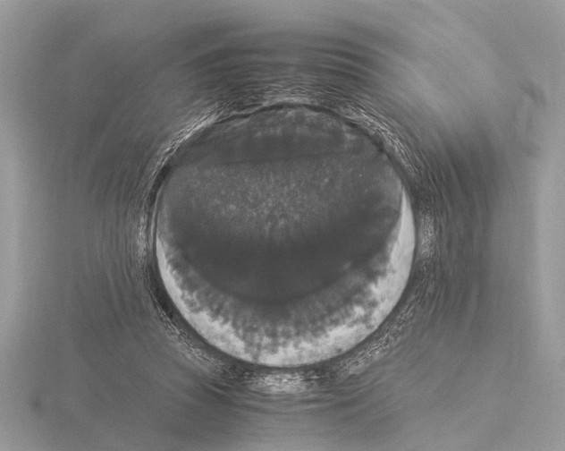 X0000115340353200912141244