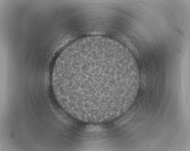 X0000115340354200912141244