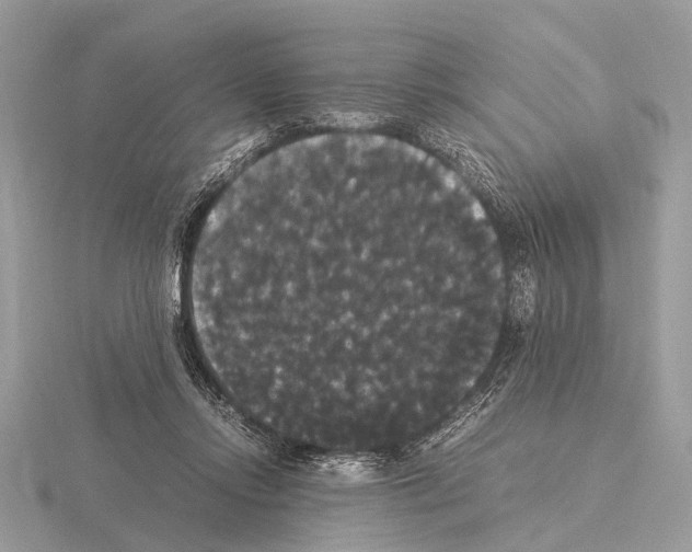 X0000115340358200912141244