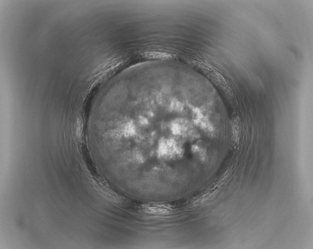 X0000115340359200912141244