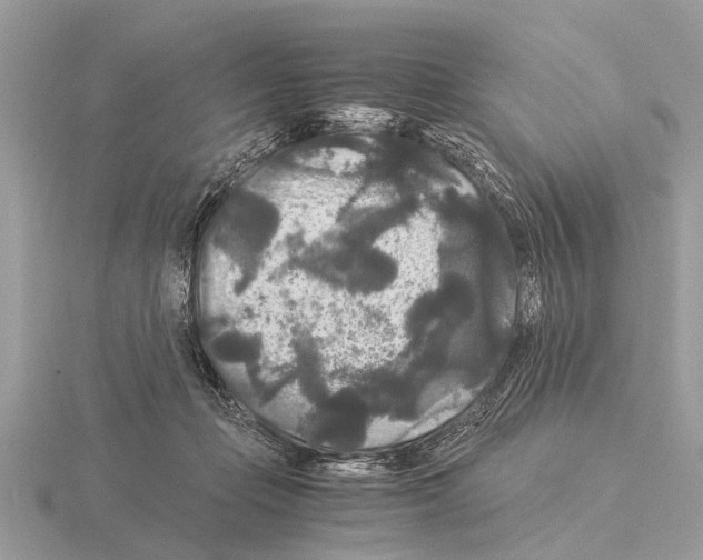 X0000115340365200912141245