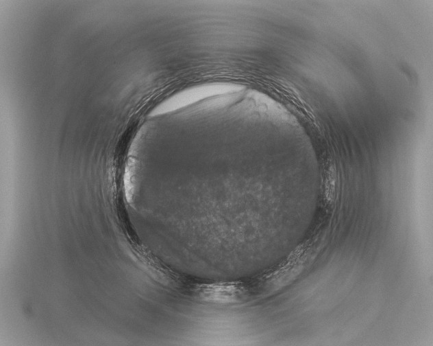 X0000115340366200912141245