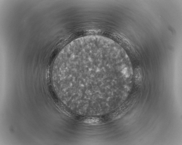 X0000115340369200912141245