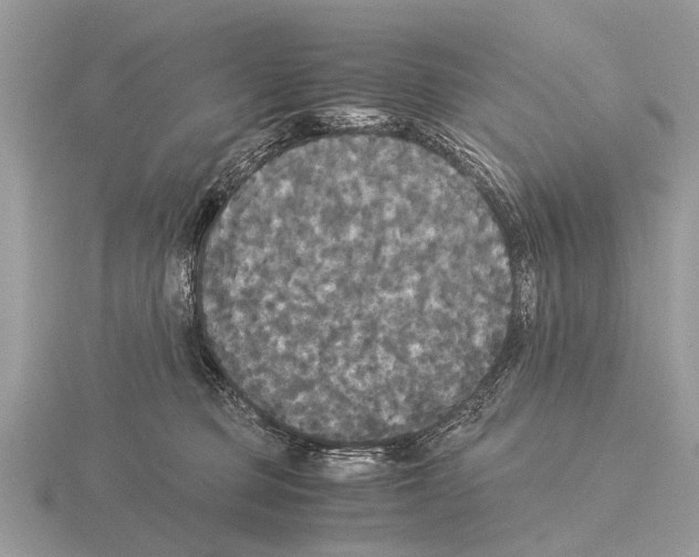 X0000115340373200912141245