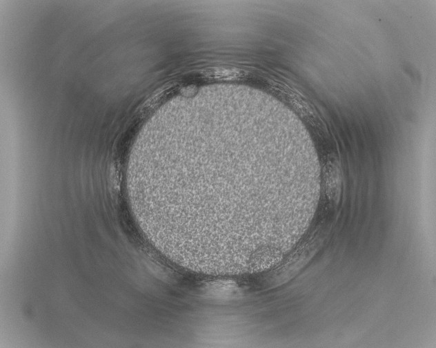 X0000115340374200912141245