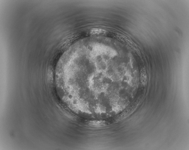 X0000115340375200912141245