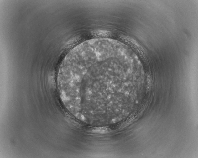 X0000115340377200912141245