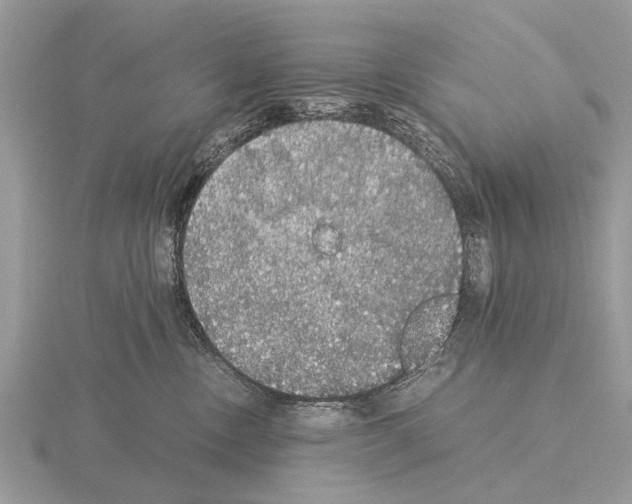 X0000115340378200912141245