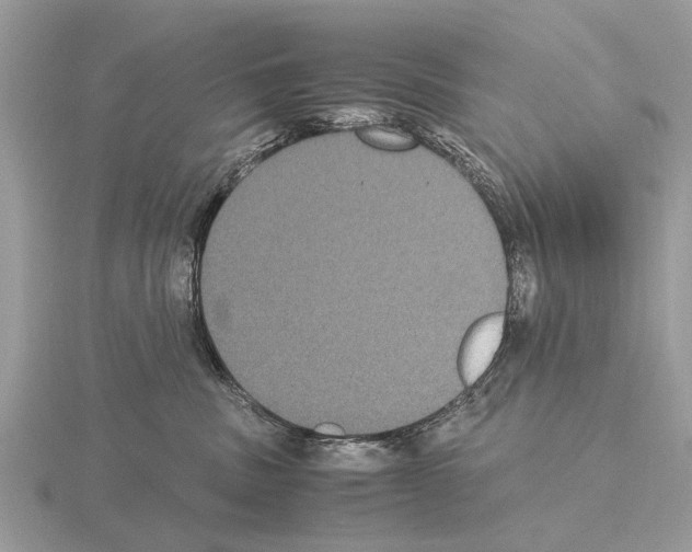 X0000115340379200912141245