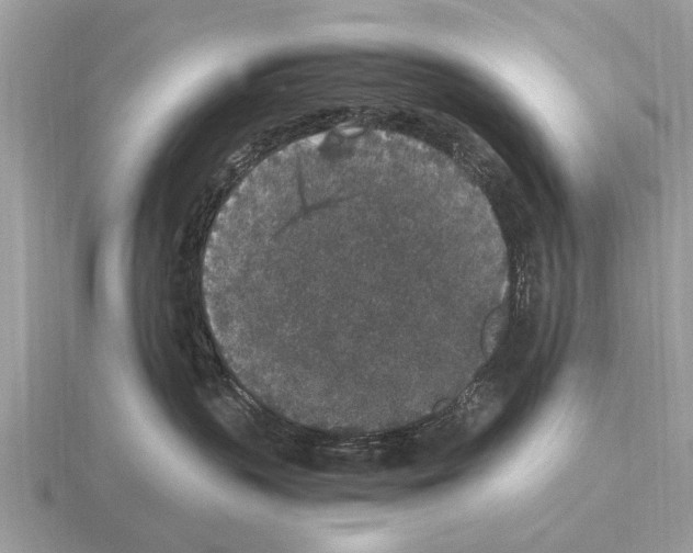 X0000115340383200912141245