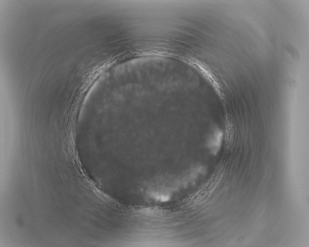 X0000115340385200912141244