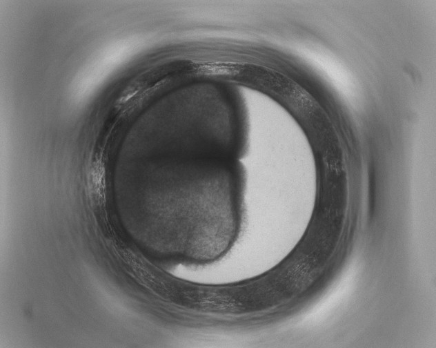 X0000115340387200912141244