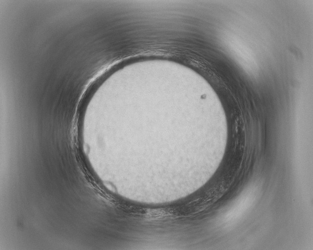 X0000115340388200912141244