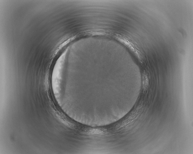 X0000115340390200912141244