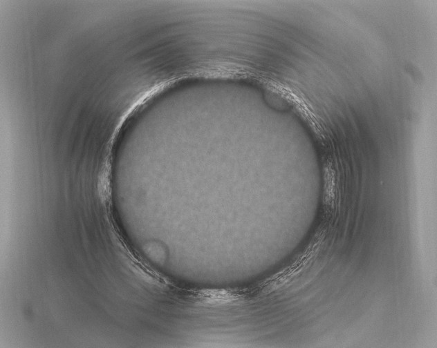 X0000115340392200912141244