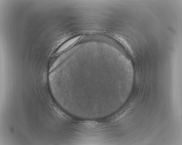 X0000115340393200912141244