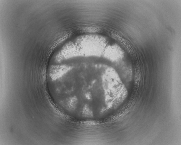 X0000115340394200912141244