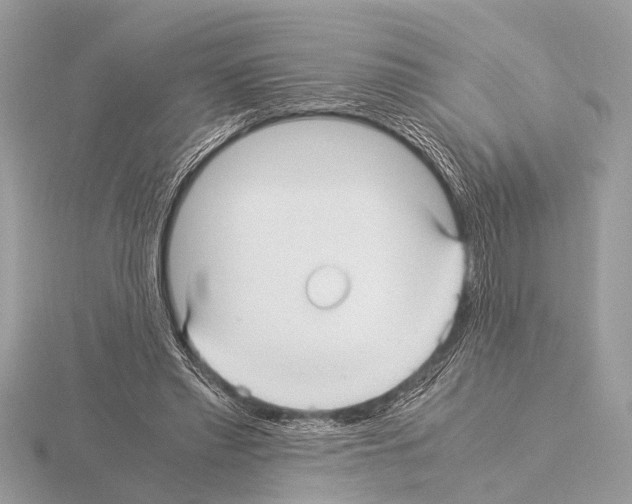 X0000115340397200912141244