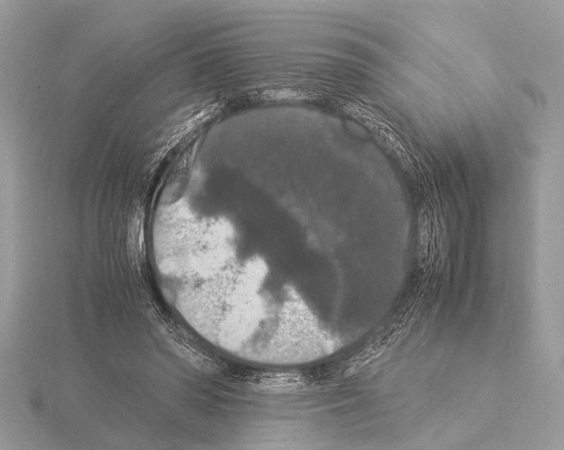 X0000115340398200912141244