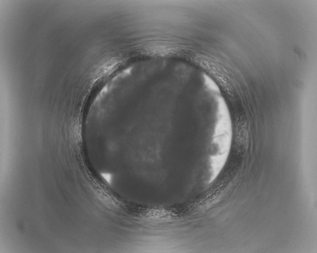 X0000115340399200912141244