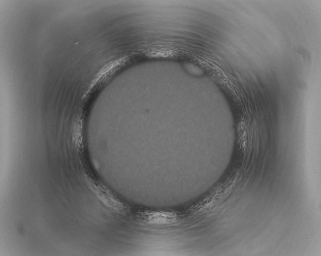 X0000115340400200912141244