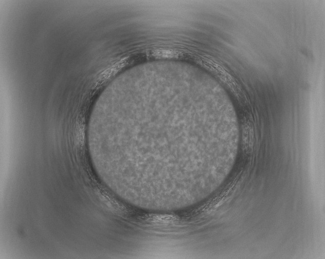 X0000115340401200912141244