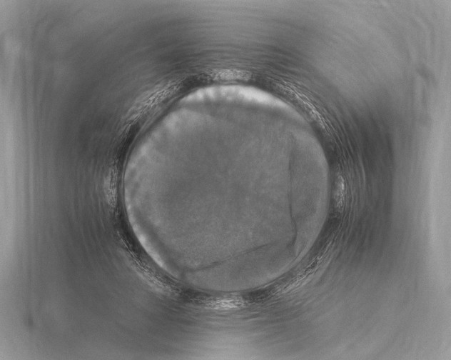 X0000115340402200912141244