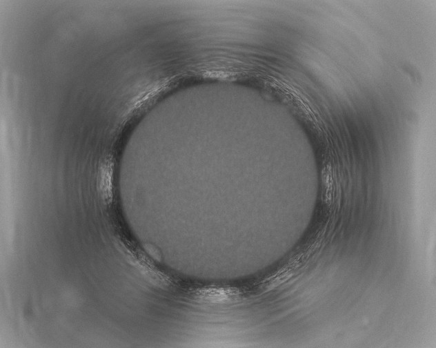 X0000115340404200912141244