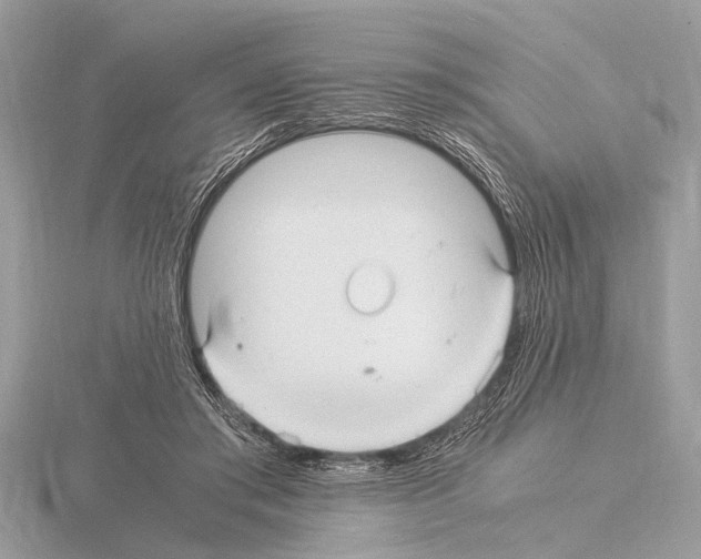 X0000115340405200912141244