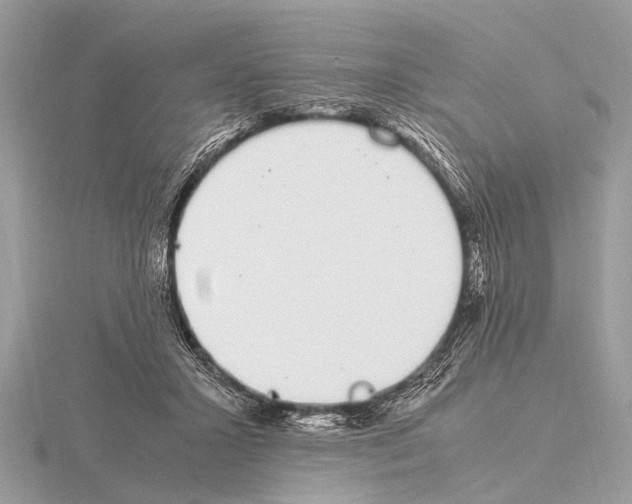 X0000115340407200912141244