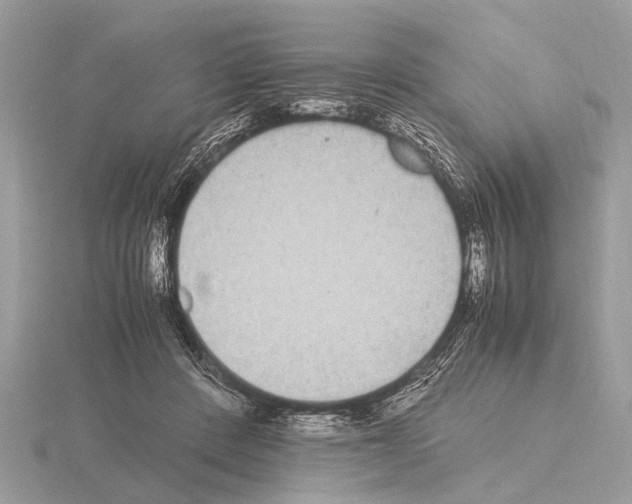 X0000115340408200912141244