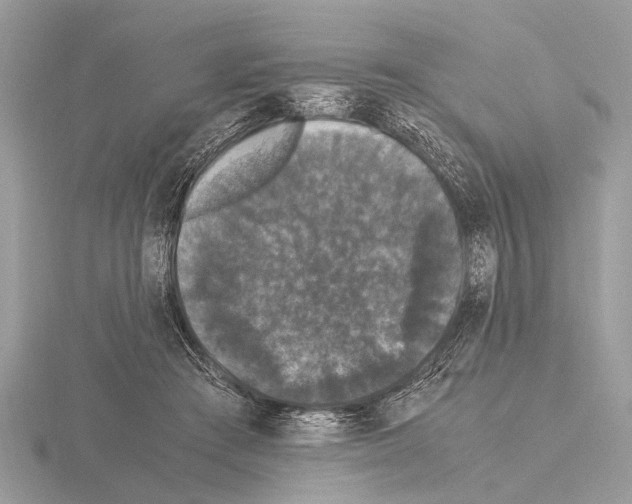 X0000115340409200912141244