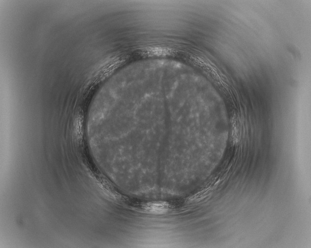 X0000115340410200912141244