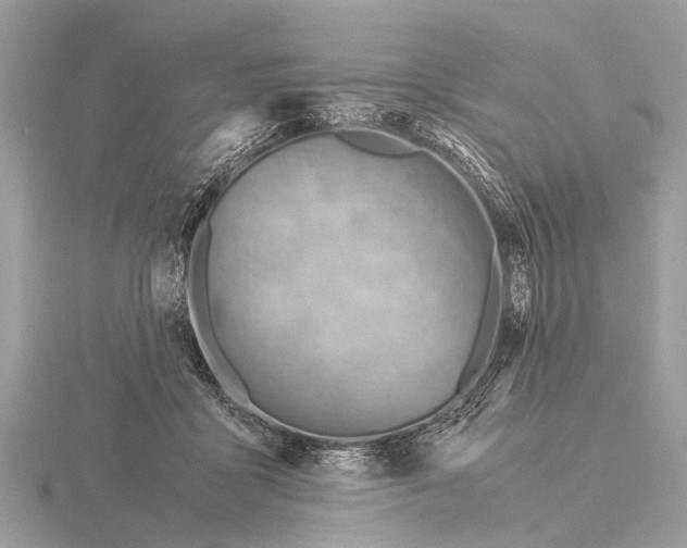 X0000115340411200912141244