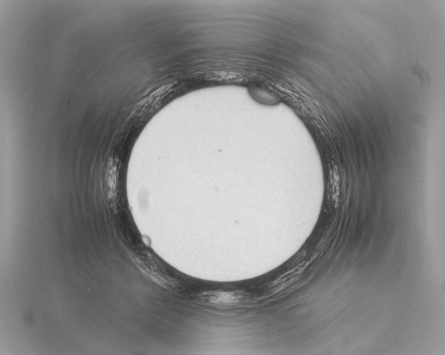 X0000115340412200912141244