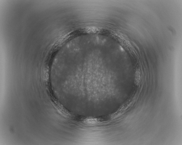 X0000115340413200912141244