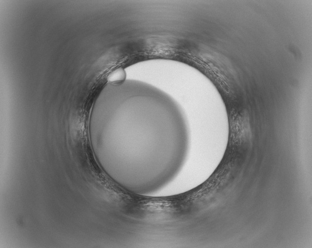 X0000115340415200912141244