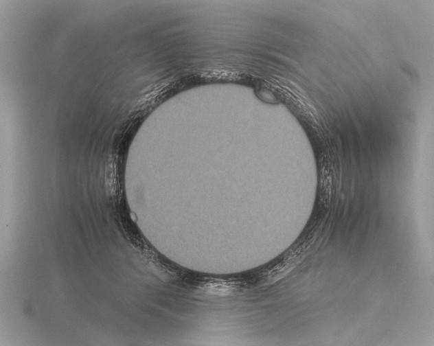 X0000115340416200912141244