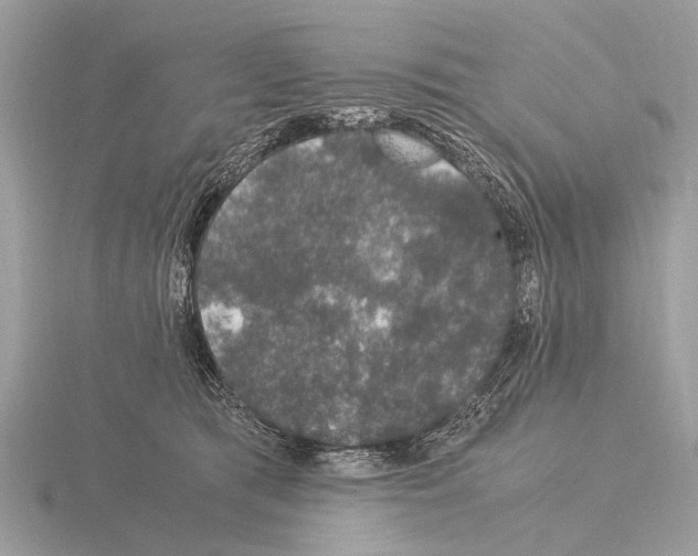 X0000115340417200912141244