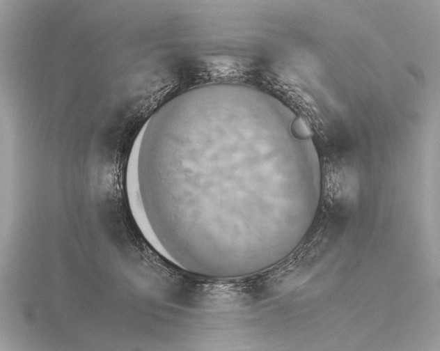 X0000115340419200912141244