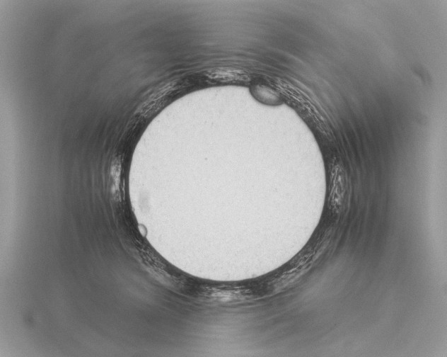 X0000115340420200912141244