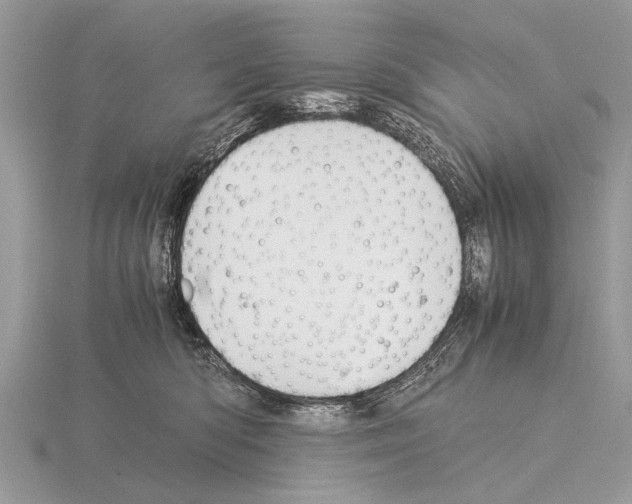 X0000115340422200912141244