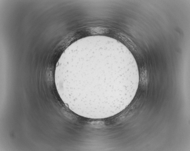 X0000115340426200912141243