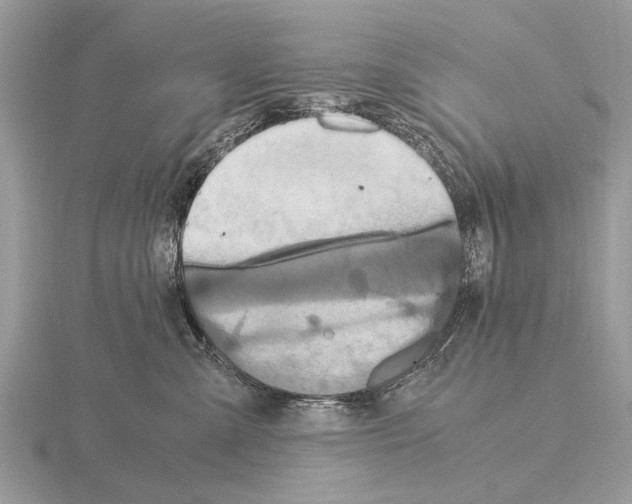 X0000115340427200912141243