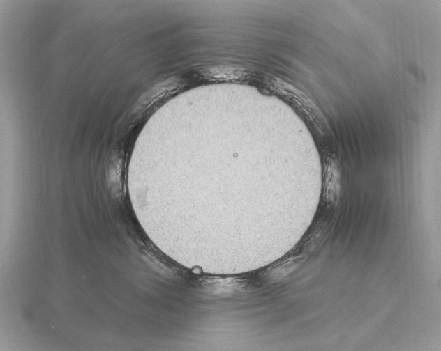 X0000115340428200912141243