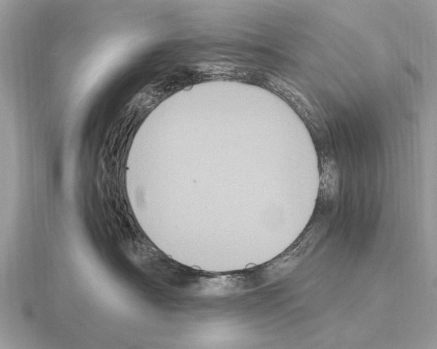 X0000115340430200912141243