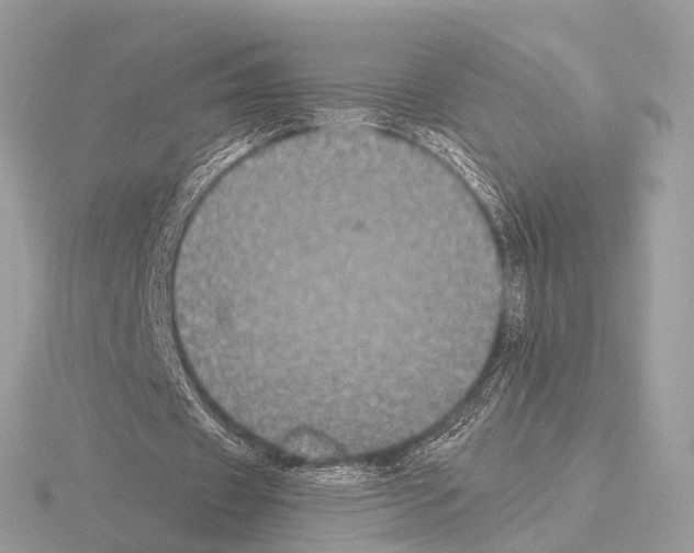 X0000115340433200912141243