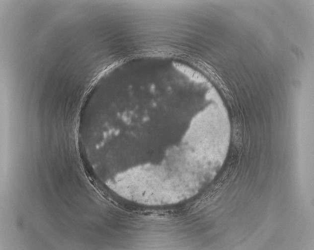 X0000115340434200912141243