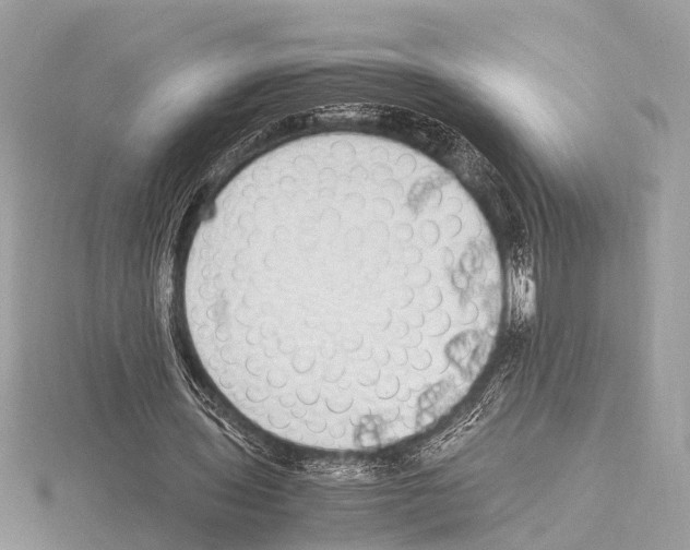 X0000115340435200912141243