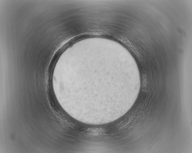 X0000115340440200912141243